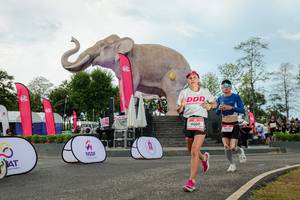 BIB: 
                            <button type="button" onclick="openModal(26528978)" class="btn btn-primary btn-sm float-right btn-popup" data-toggle="modal" data-target=".modal-high-quality">
                        <i class="fas fa-shopping-cart"></i> Add to Cart
                    </button>
                                            <button type="button" onclick="isThisMe(26528978, true)" class="btn btn-success btn-sm float-right btn-popup btn-isme hidden" data-toggle="tooltip" data-placement="bottom" title="นี่คือรูปของคุณใช่ไหม คลิกที่นี่เพื่อเอาเข้าอัลบั้ม">
                        <i class="fas fa-plus"></i> Add to album
                    </button>
                    <button type="button" onclick="isThisMe(26528978, false)" class="btn btn-warning btn-sm float-right btn-popup btn-isnotme hidden">
                        <i class="fas fa-ban"></i> Remove from album
                    </button>